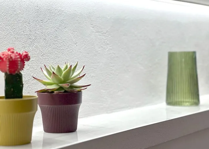 Apartmán Con Patio Privado En El Centro De *