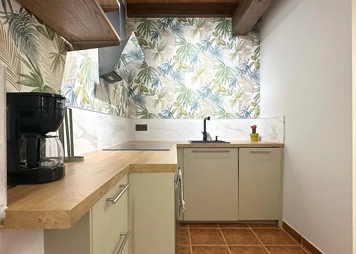 Apartmán Con Patio Privado En El Centro De *