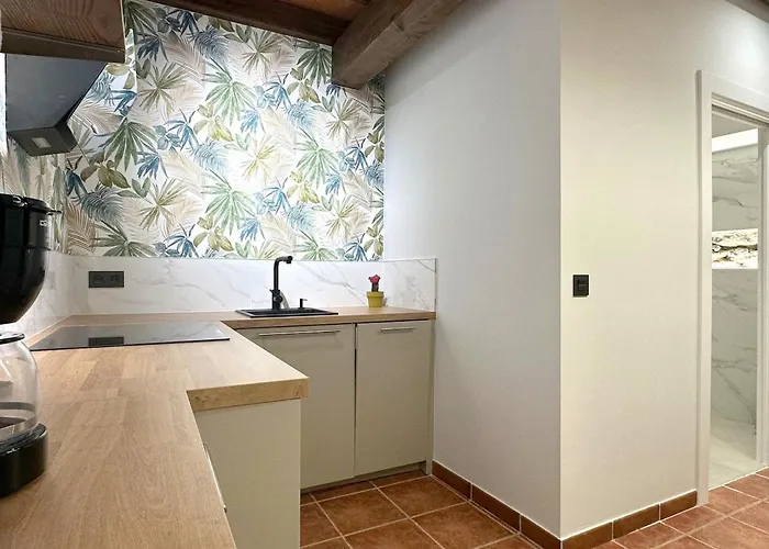 Apartmán Con Patio Privado En El Centro De