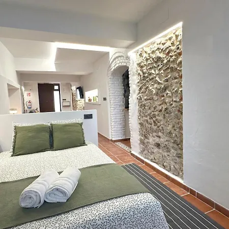 公寓 Con Patio Privado En El Centro De *