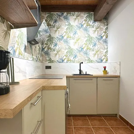 公寓 Con Patio Privado En El Centro De *