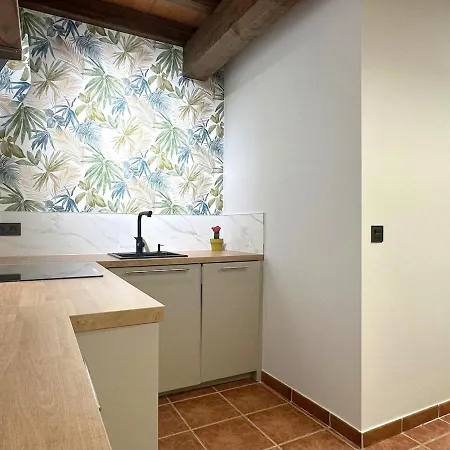 公寓 Con Patio Privado En El Centro De